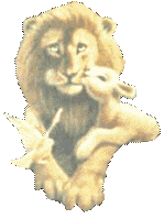 Gif animé lion agneau